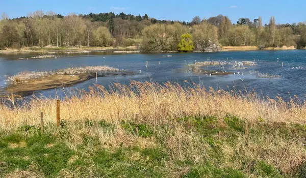 Amwell Nature Reserve Walks, Hertfordshire