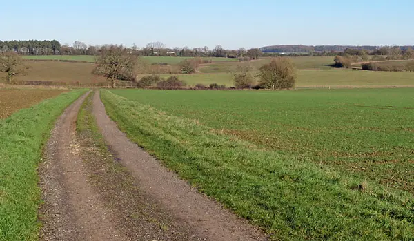 Anstey Walks, Hertfordshire