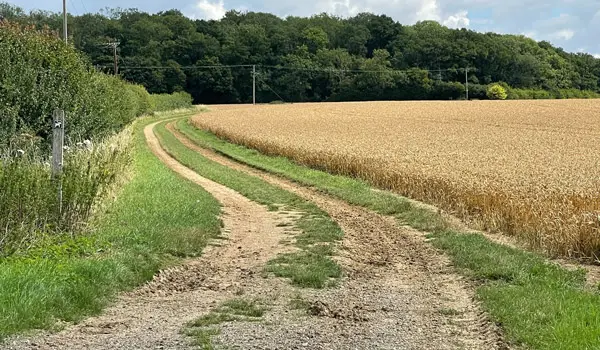 Barkway Walks, Hertfordshire