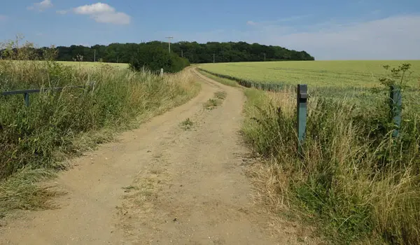 Barley Walks, Hertfordshire