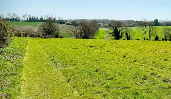Berden Walks, Essex