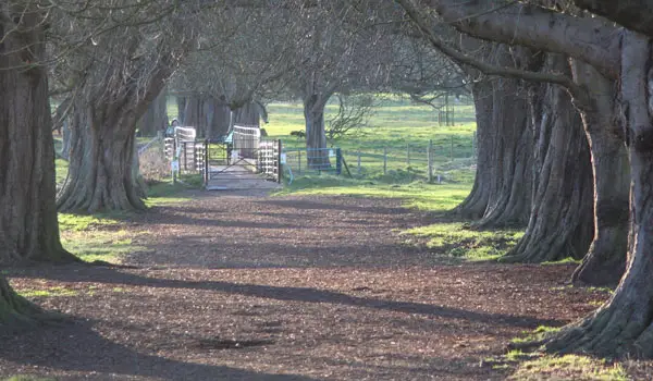 Box Moor Walk, Hertfordshire
