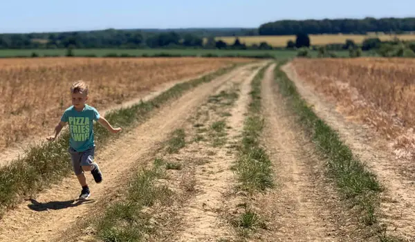 Bramfield Walks, Hertfordshire