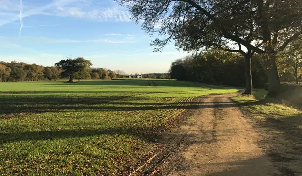 Brent Pelham Walk, Hertfordshire