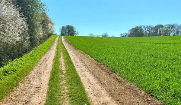 Clavering Walks, Essex