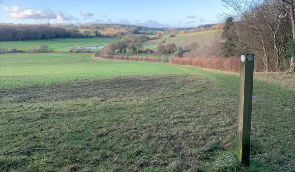 Comb's Wood Walks, Hertfordshire