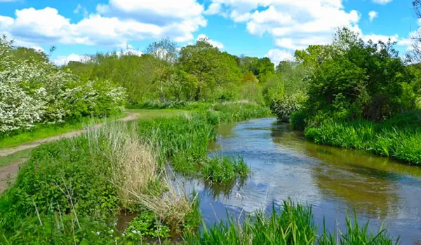 Croxley Green Walks, Hertfordshire