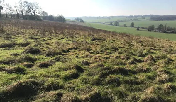 Dane End Walks, Hertfordshire