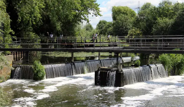 Dobbs Weir Walk, Hertfordshire