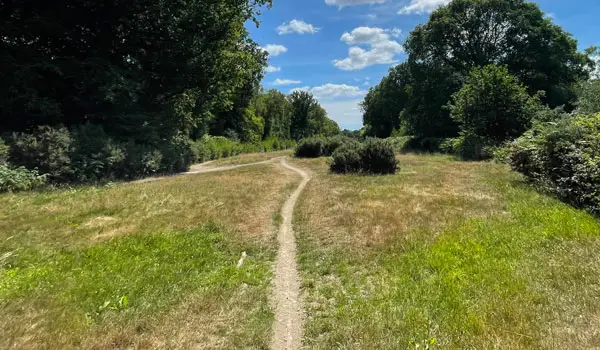 Frithsden Beeches Walks, Hertfordshire