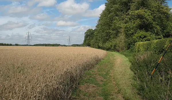 Gilston Park Walks, Hertfordshire