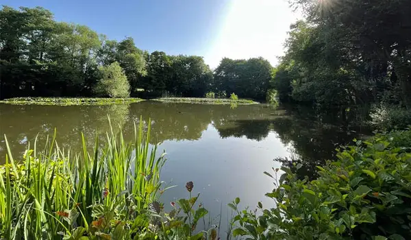Gobions Woods Walks, Hertfordshire