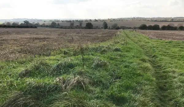 Great Hormead Walks, Hertfordshire