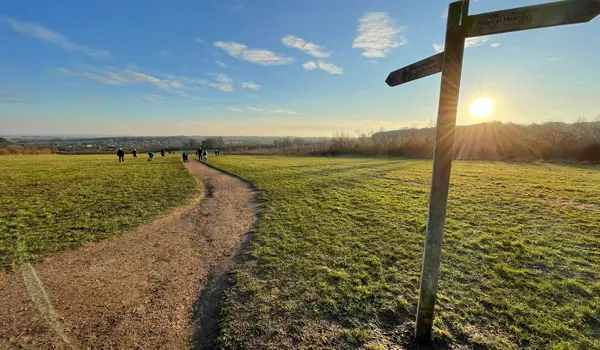 Heartwood Forest Walks, Hertfordshire