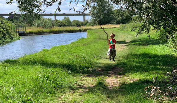 Top 10 Hertfordshire Walks