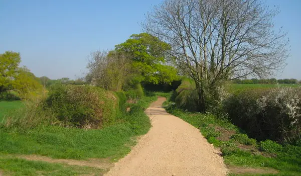 Highfield Park Walks, Hertfordshire