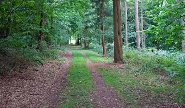 Jockey End Walks, Hertfordshire