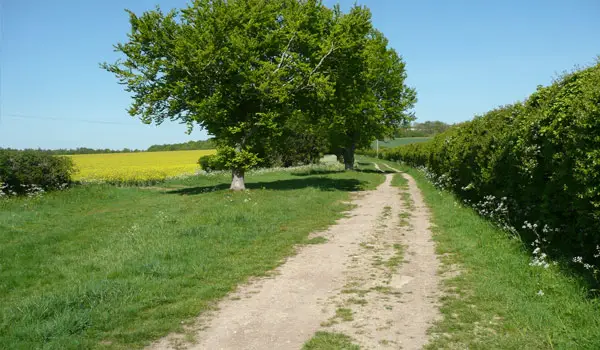 Lilley Walks, Hertfordshire