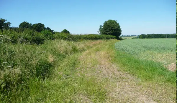 Mangrove Green Walk, Hertfordshire
