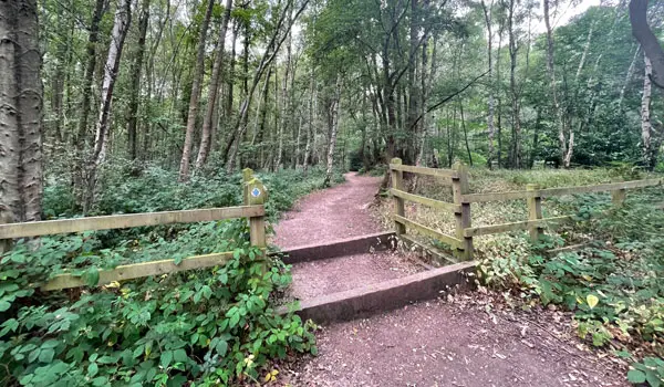 Mardley Heath Walk, Hertfordshire