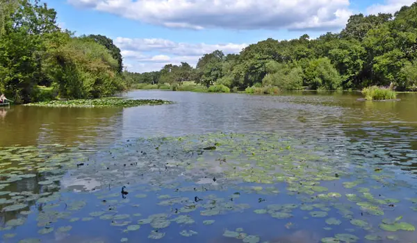 Monken Hadley Walks, Hertfordshire