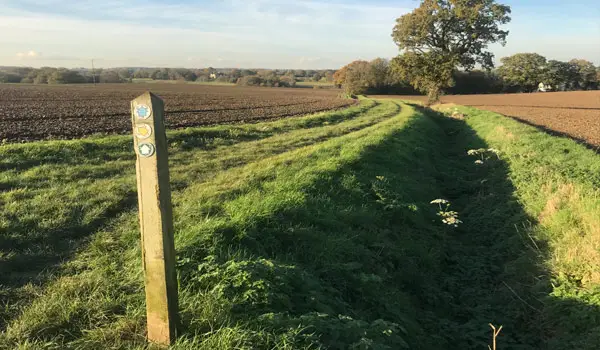 Much Hadham walk, Hertfordshire