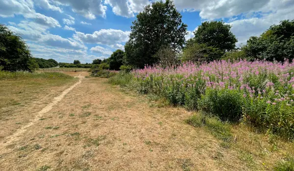 Nomansland Common Walks, Hertfordshire