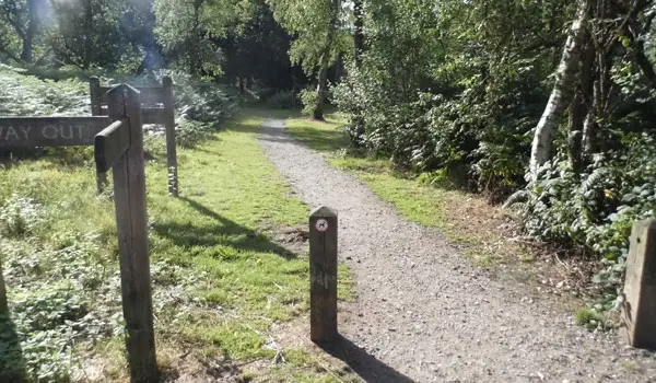 Northaw Great Wood Walks, Hertfordshire