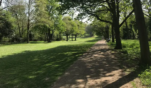 Norton Common Walks, Hertfordshire