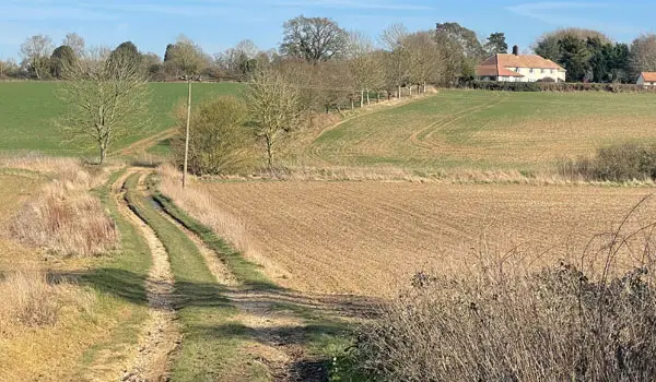 Patmore Heath Walks, Hertfordshire