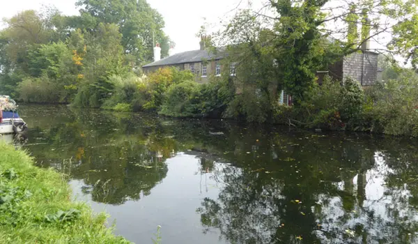 Rammey Marsh Walks, Hertfordshire