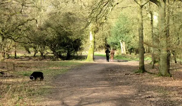 Ringshall Walks, Hertfordshire