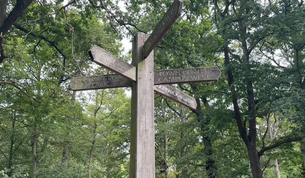 Sherrardspark Wood Walks, Hertfordshire