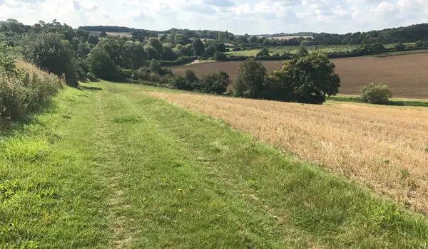 Standon Walks, Hertfordshire
