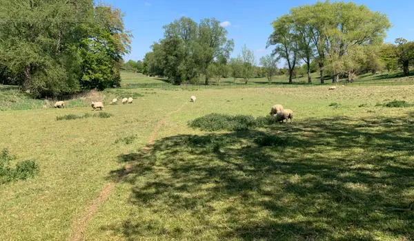 Stapleford Walks, Hertfordshire