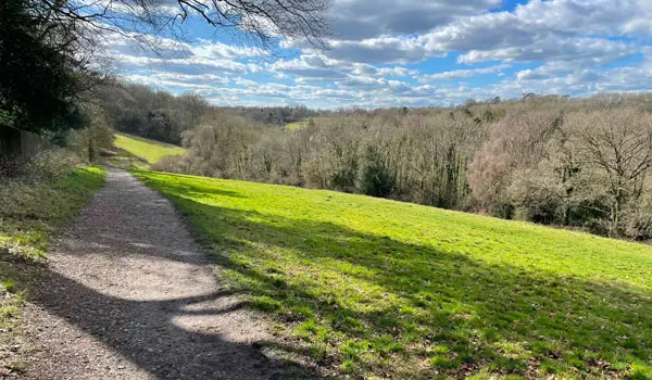 Sheethanger Common walk, Hertfordshire