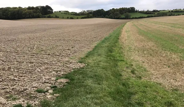 Therfield Walks, Hertfordshire
