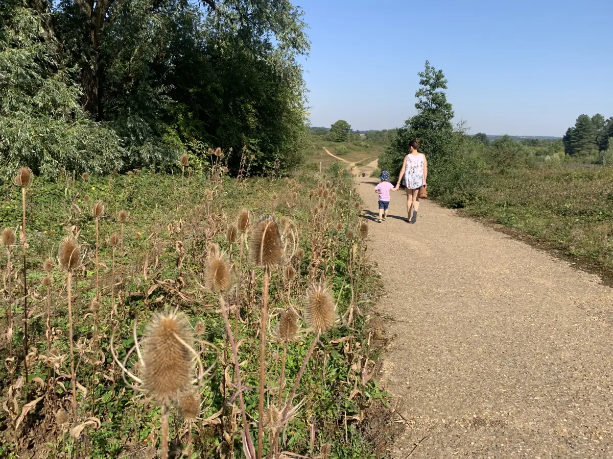 Waterford Heath Walks, Hertfordshire