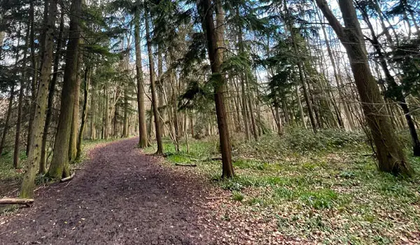 Westbrook Hay Walks, Hertfordshire