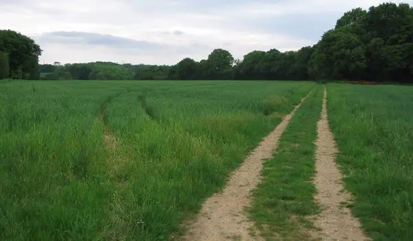 Weston Walks, Hertfordshire