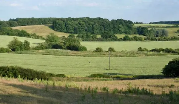 Widford Walks, Hertfordshire