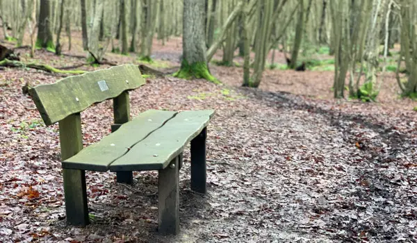 Wormley Woods Walks, Hertfordshire