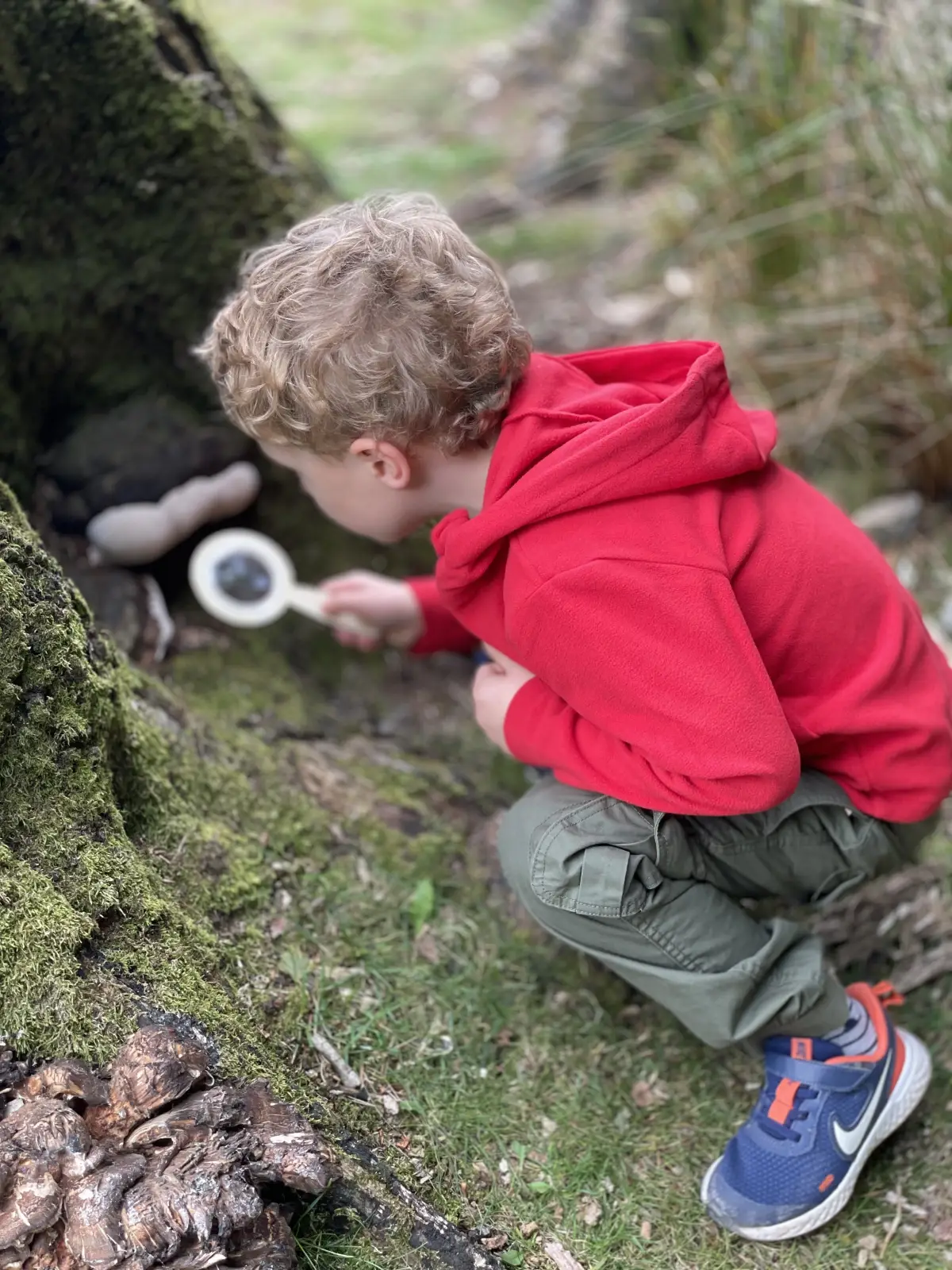 Longshaw Estate walk, Derbyshire - photo 2