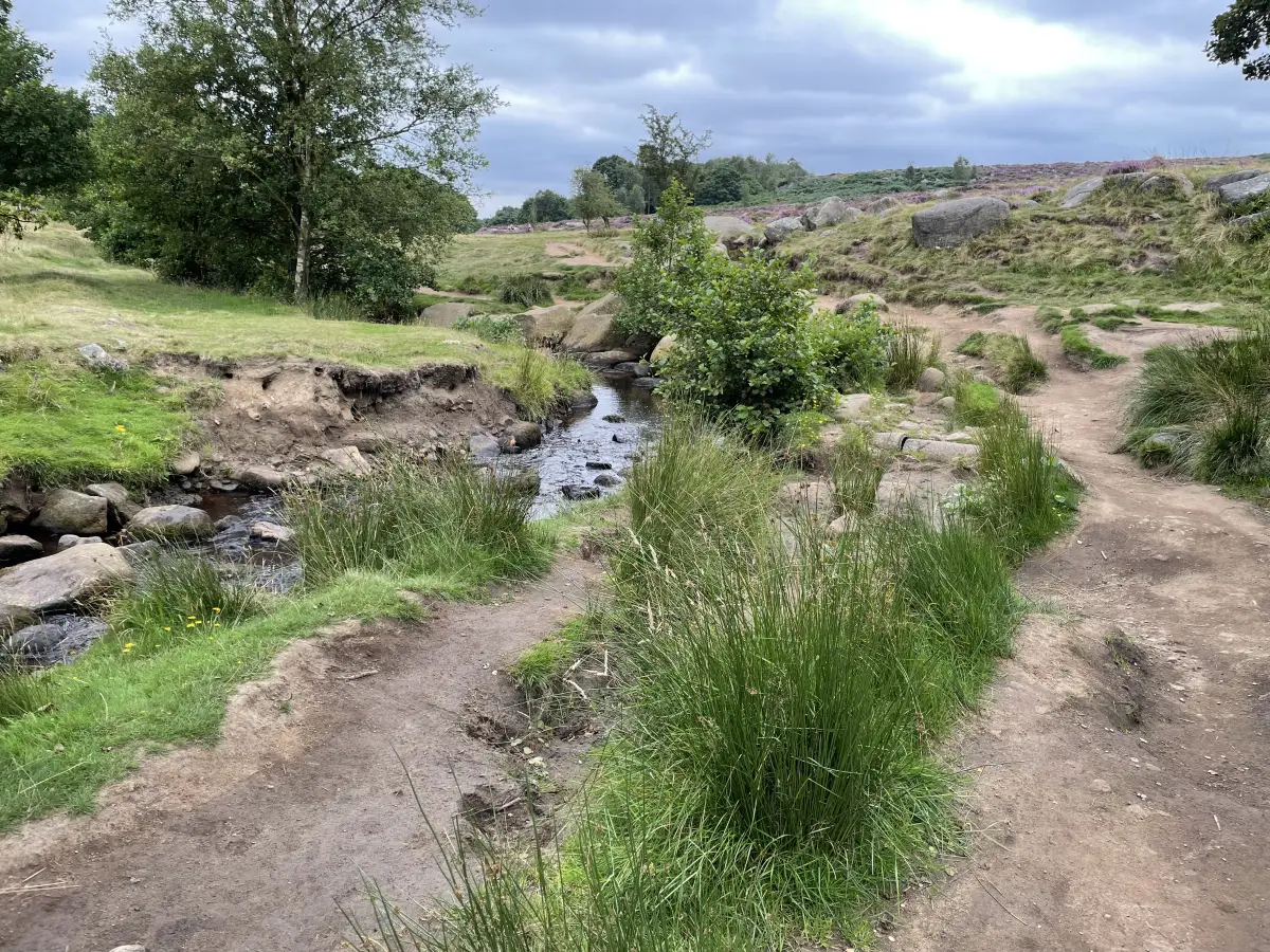 Longshaw Estate walk, Derbyshire - photo 5
