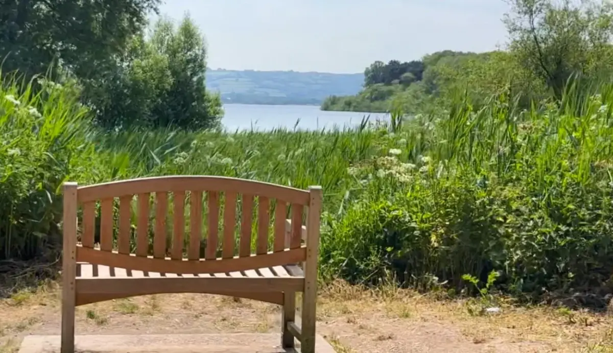 Chew Valley Lake Walk, Somerset
