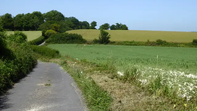 Adisham Walks, Kent