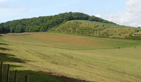 Alkham Walks, Kent