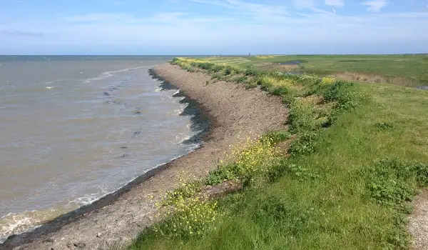 Allhallows Marshes Walks, Kent