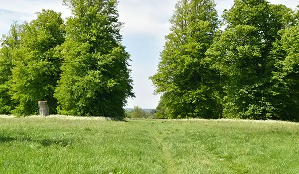 Badlesmere Walks, Kent