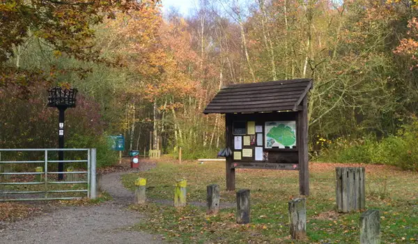 Beacon Wood Country Park Walks, Kent